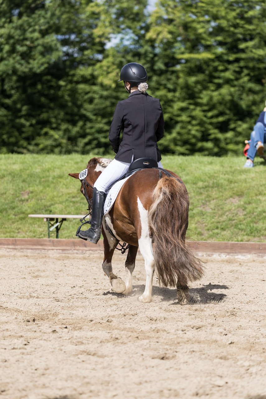 Bild 279 - Pony Akademie Turnier